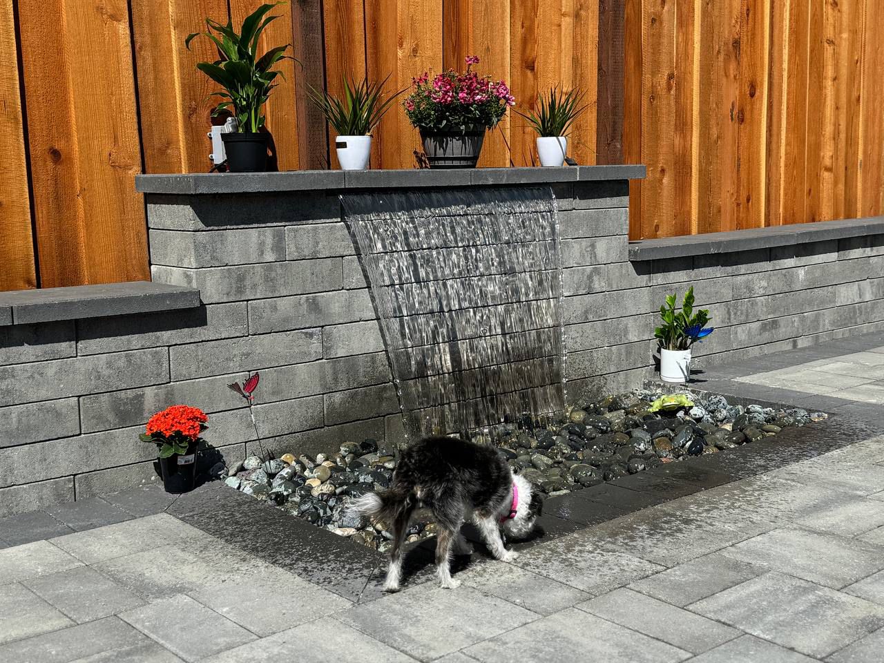 Hardscape Detail — CIP Pavers project